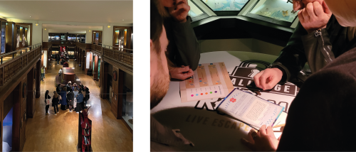 Animation au Musée d'Histoire naturelle de Grenoble