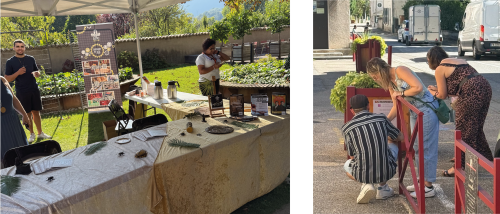 Escape game sur mesure sur les pas des frères Champollion